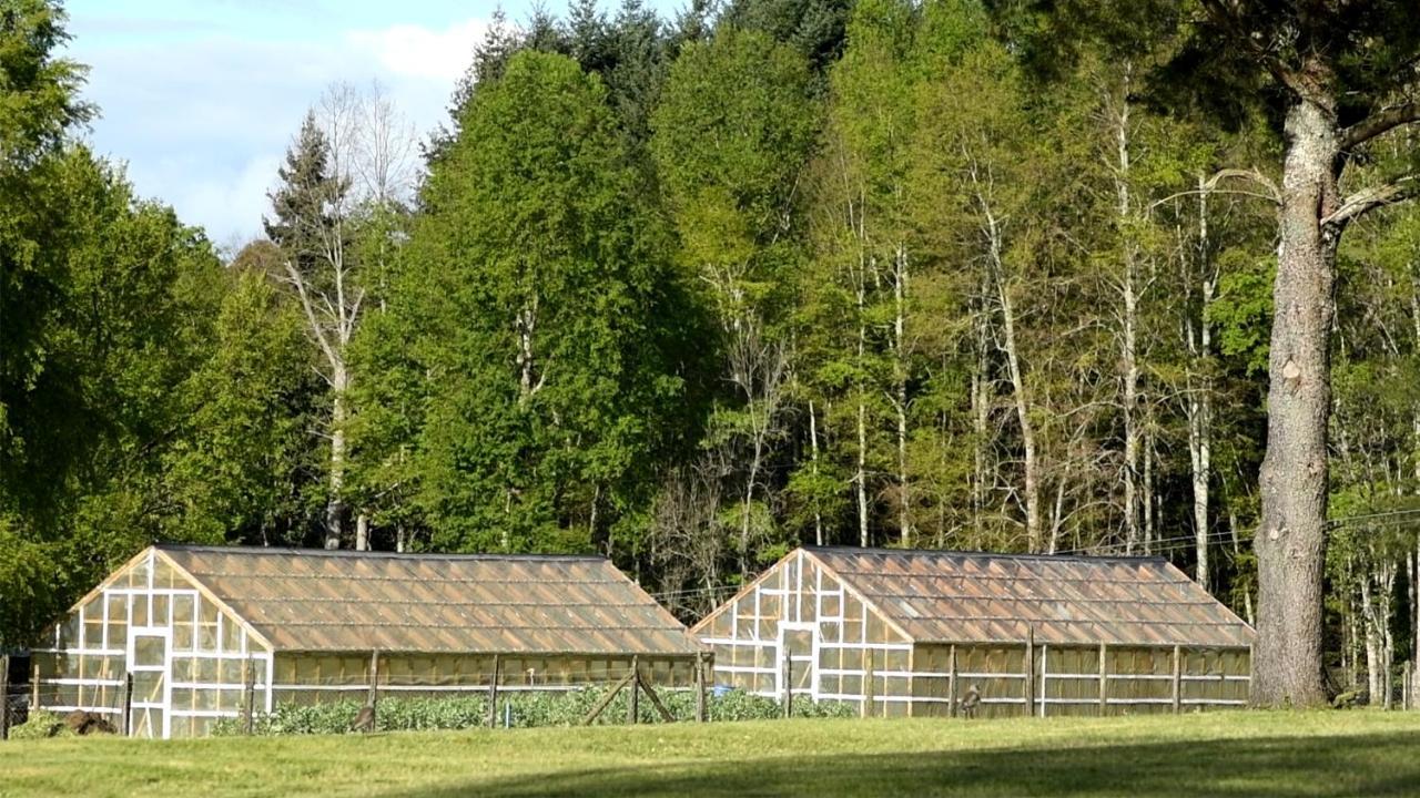 Das Dorf Hotel Pucón Extérieur photo